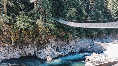 Scenic view of river amidst trees