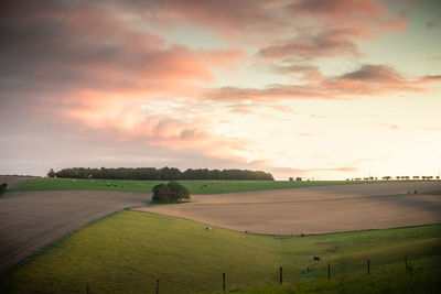 Scenic view of field against sky during sunset