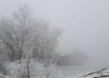 Bare trees against sky during winter