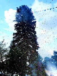 Low angle view of trees against sky