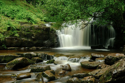 Scenic view of waterfall in forest