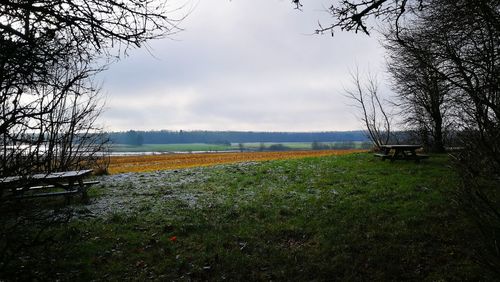 Scenic view of field against sky