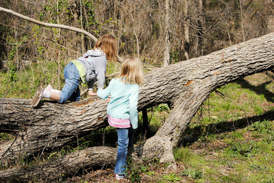 Two girls climbing fallen tree in woods