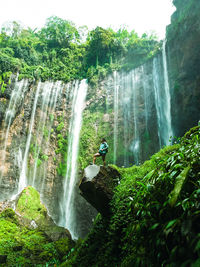 Scenic view of waterfall in forest, the beauty of the tumpak sewu waterfall.