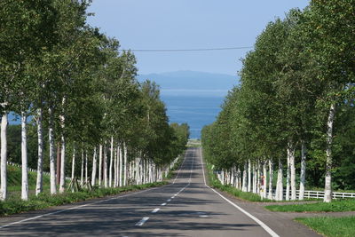 Empty road along trees