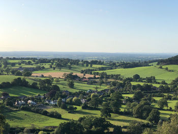 Scenic view of agricultural field against clear sky