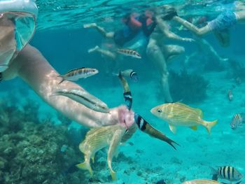 Close up to snorkeling woman feeding fish