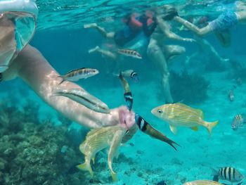 People swimming in sea