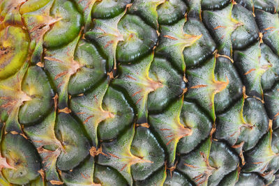 Close up of a pineapple peel