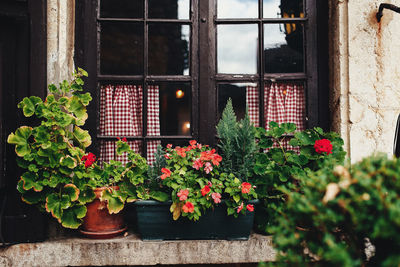 Flowers on window of building