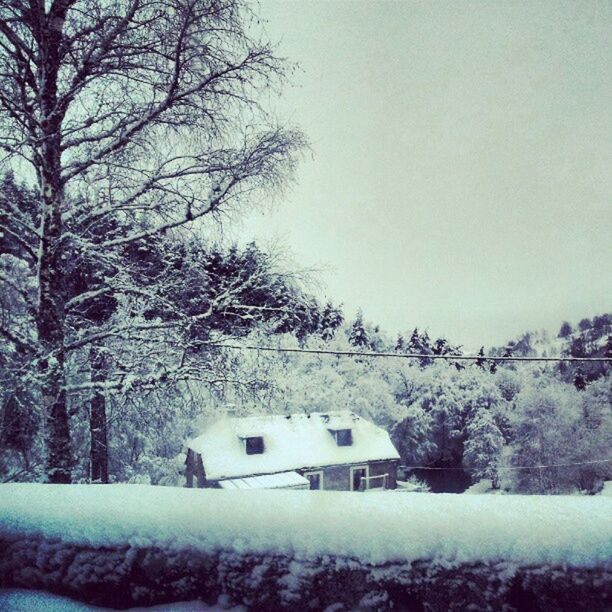 snow, winter, cold temperature, season, weather, tree, covering, bare tree, built structure, architecture, building exterior, nature, covered, frozen, house, branch, tranquility, white color, beauty in nature, tranquil scene