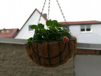 Close-up of built structure