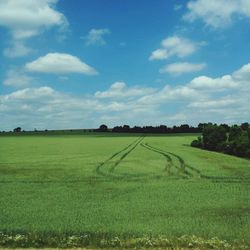 Scenic view of grassy field against cloudy sky