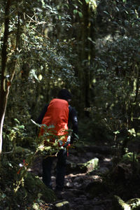 Man with mountain backpack in the forest. bawakaraeng mountain