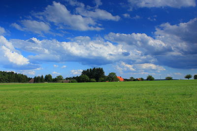 Scenic view of field against sky