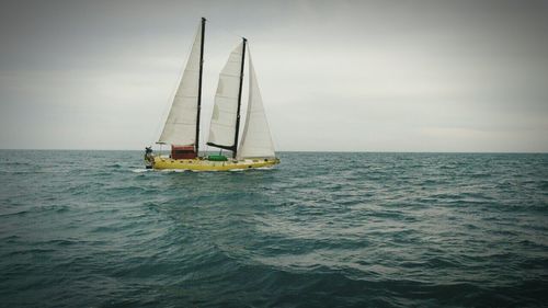 Sailboat sailing in sea