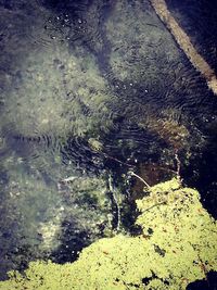 High angle view of a lake