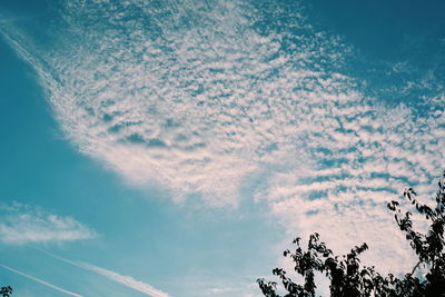 Low angle view of tree against cloudy sky