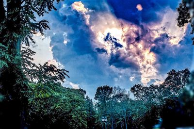 Low angle view of trees against cloudy sky