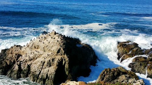 High angle view of rocks on beach