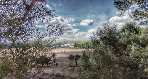 Scenic view of landscape against cloudy sky