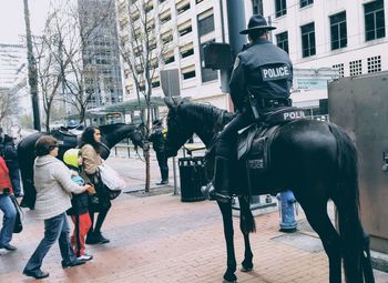 Full length of horse in city