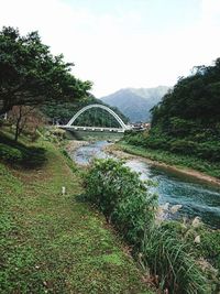 Scenic view of river in forest against sky