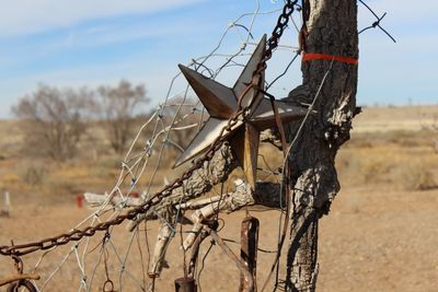 Damaged decoration on fence