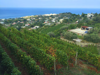 Scenic view of green landscape by sea against sky