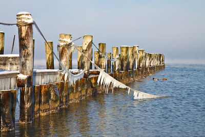 Wooden posts in sea