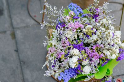 Close-up of purple flowering plant