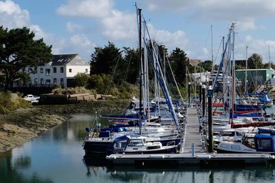 Sailboats moored at harbor