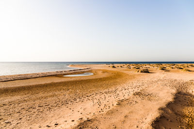 Scenic view of beach against clear sky