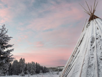 Low angle view of trees against sky during winter