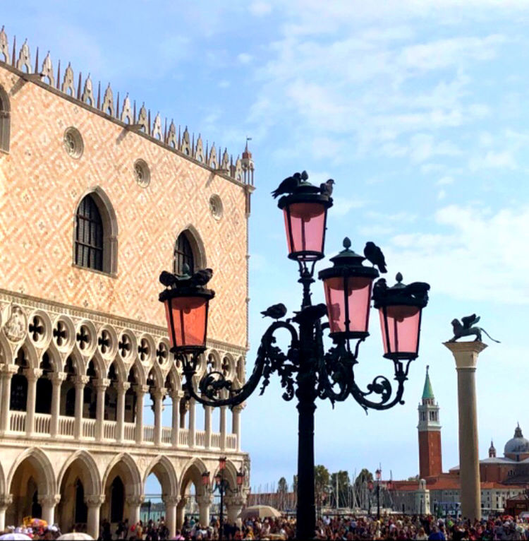 LOW ANGLE VIEW OF STREET LIGHT