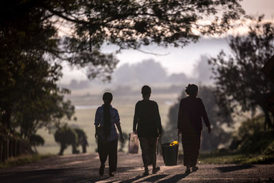 Rear view of people walking by trees against sky