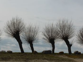 Bare trees on landscape against sky