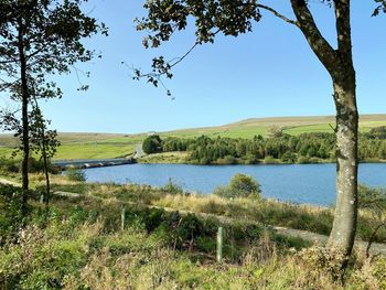 Looking across, baitings reservoir, with old trees, and a farm near, ripponden, sowerby bridge, uk