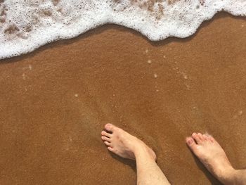 Low section of people on beach