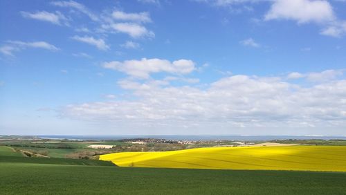 Scenic view of field against sky