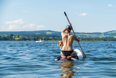 Adult woman on paddle board with male beagle, wallersee, austria.