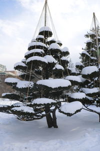 Snow covered built structure against sky