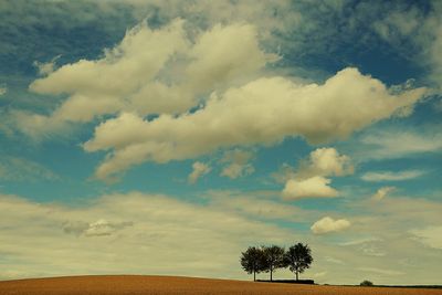 Trees on field against cloudy sky
