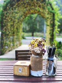 Close-up of flower pot on table