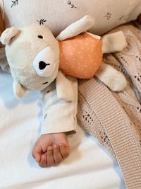 Close-up of stuffed toy and baby hands