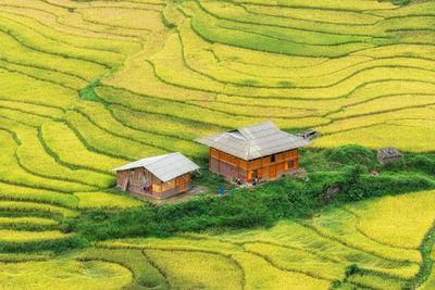 agriculture