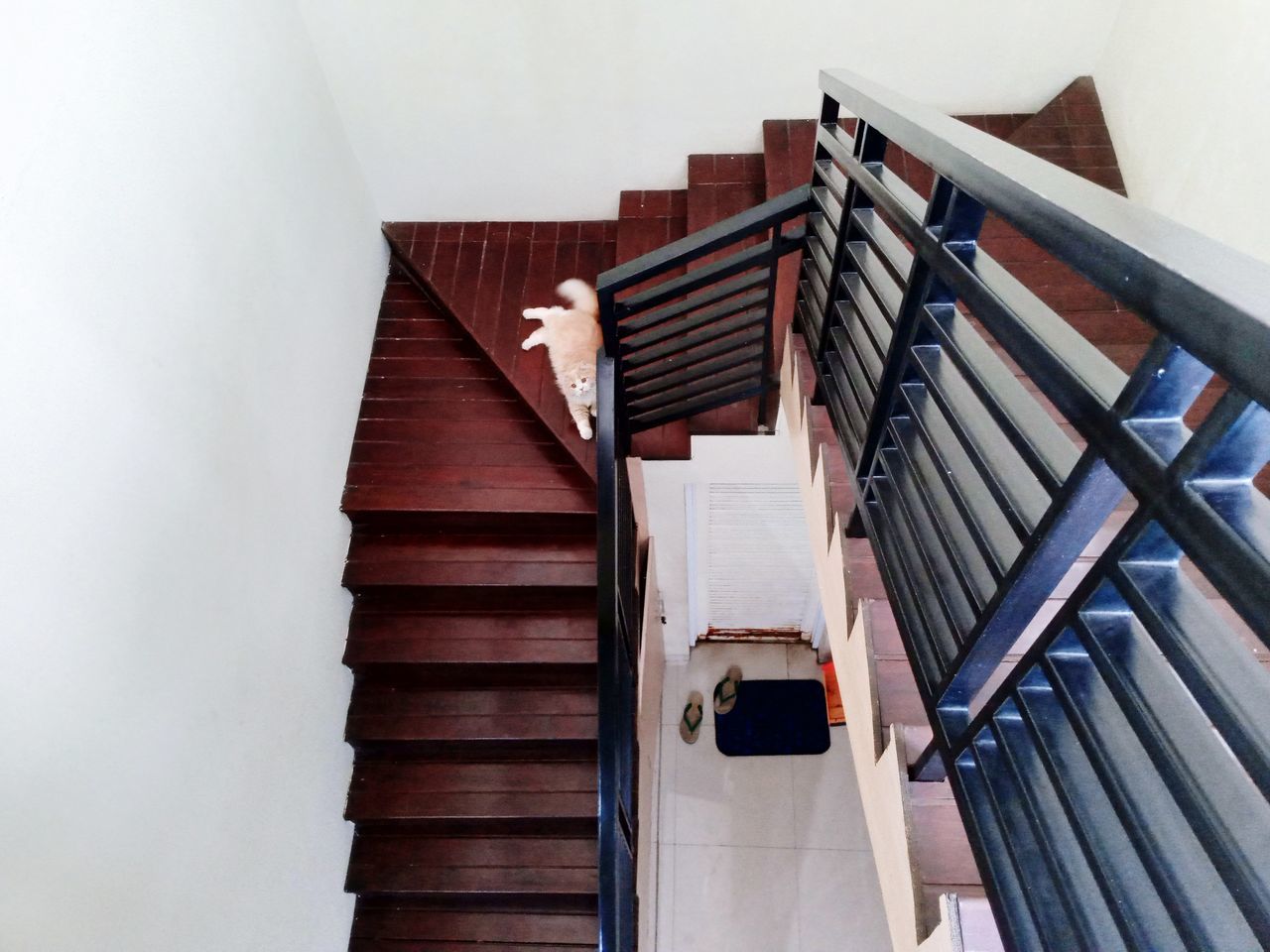 stairs, staircase, steps and staircases, architecture, wood, built structure, indoors, railing, high angle view, no people, building, floor, interior design, house, handrail, spiral, spiral staircase, day