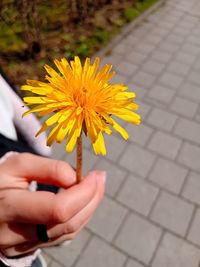 yellow