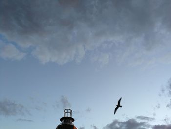 Low angle view of birds flying against sky