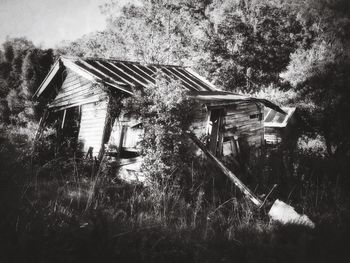 Built structure with trees in background